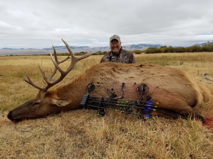 Montana Archery Elk with Walker Outfitting